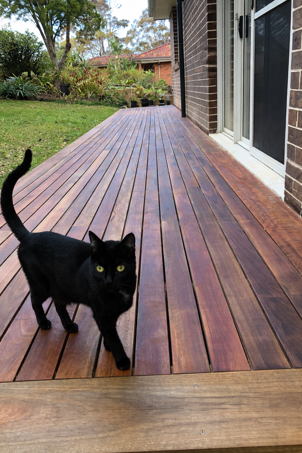 Outdoor entertainment deck, Chatswood, Sydney